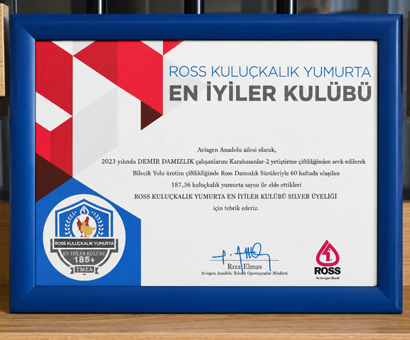 Certificate and Award